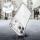 TECH-PROTECT Flexair do Iphone 17 Pro Clear 5906302319398 - 1359644 - zdjęcie 2